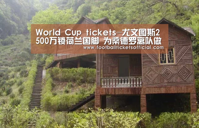 World Cup tickets-尤文图斯2500万锁荷兰国脚 为桑德罗离队做准备(图2) 2026 Football Tickets