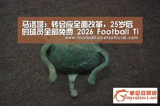 马洛塔:转会应全面改革,25岁后的球员全部免费_2026 Football Tickets(图1) World Cup tickets