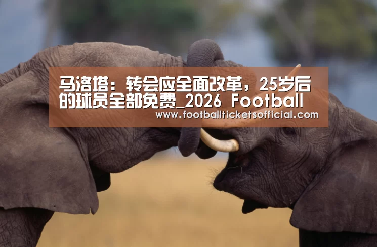 马洛塔:转会应全面改革,25岁后的球员全部免费_2026 Football Tickets(图2) World Cup tickets