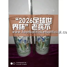 “2026足球世界杯”老兵不死!意甲35岁老妖连续6场进球,场均造1球效率直逼C罗(图2) World Cup tickets
